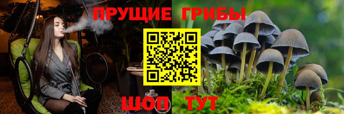 Галлюциногенные грибы Magic Shrooms Заволжье