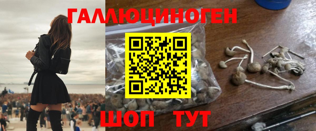 Заволжье  Галлюциногенные грибы Magic Shrooms  Вход с VPN 
